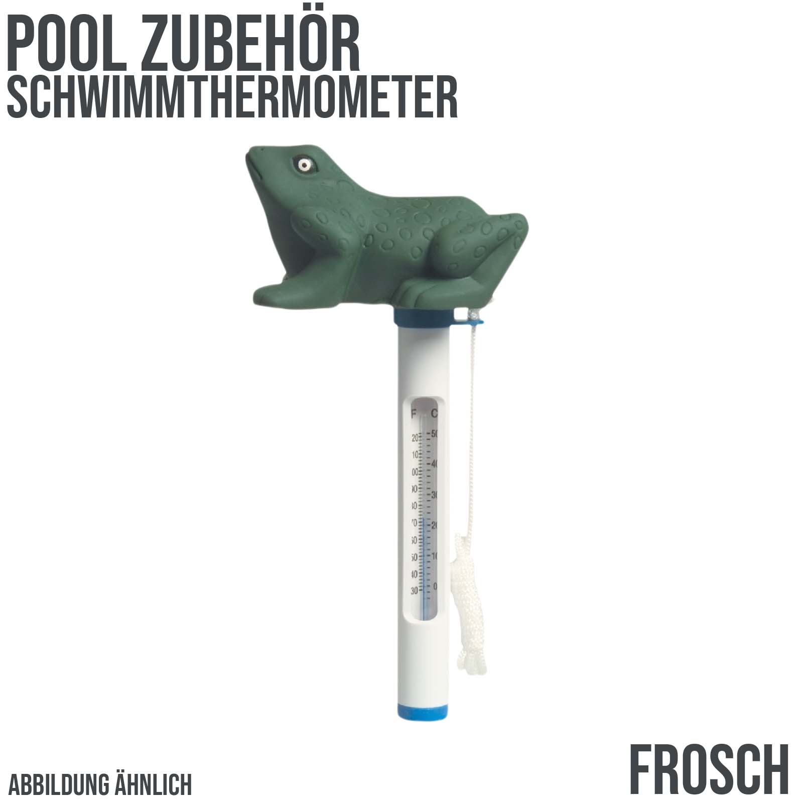 Pool Schwimm Thermometer "Frosch"