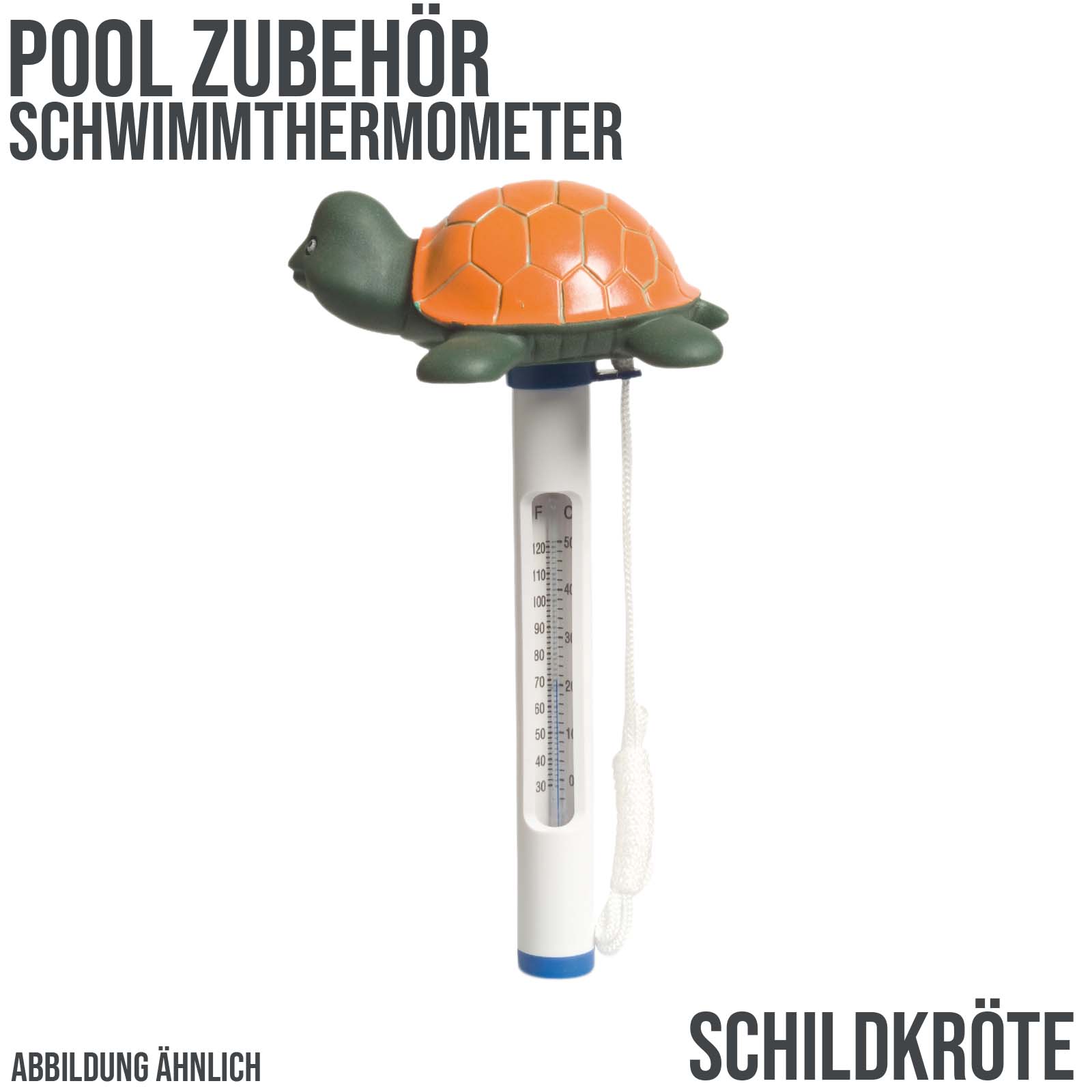 Pool Schwimm Thermometer "Schildkröte"