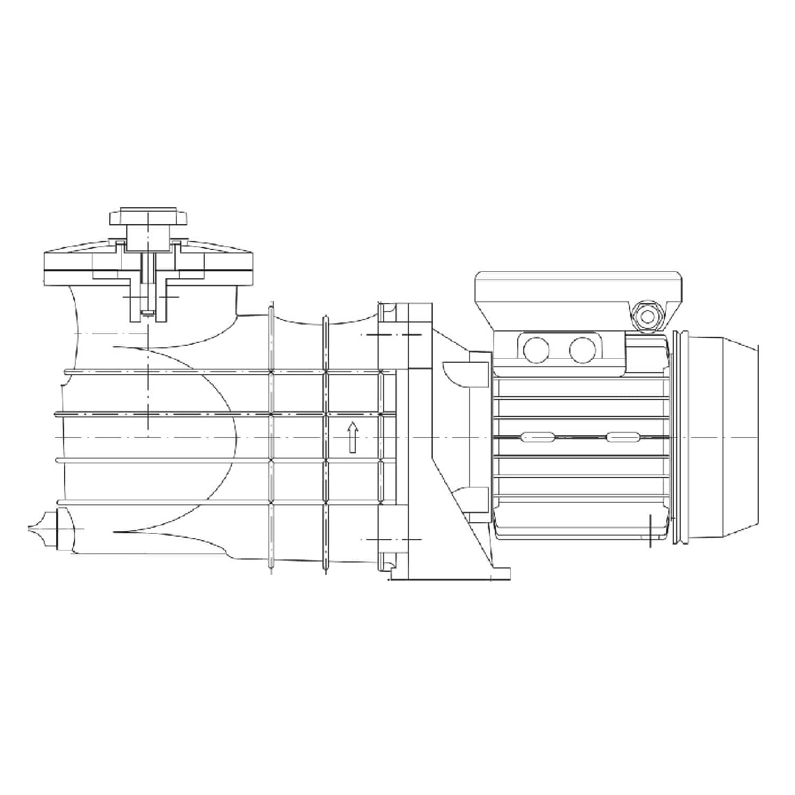 Schwimmbad Pool Pumpe Micro 50 2,4A 230VAC 1 1/2" Innengewinde Polypropylen schwarz