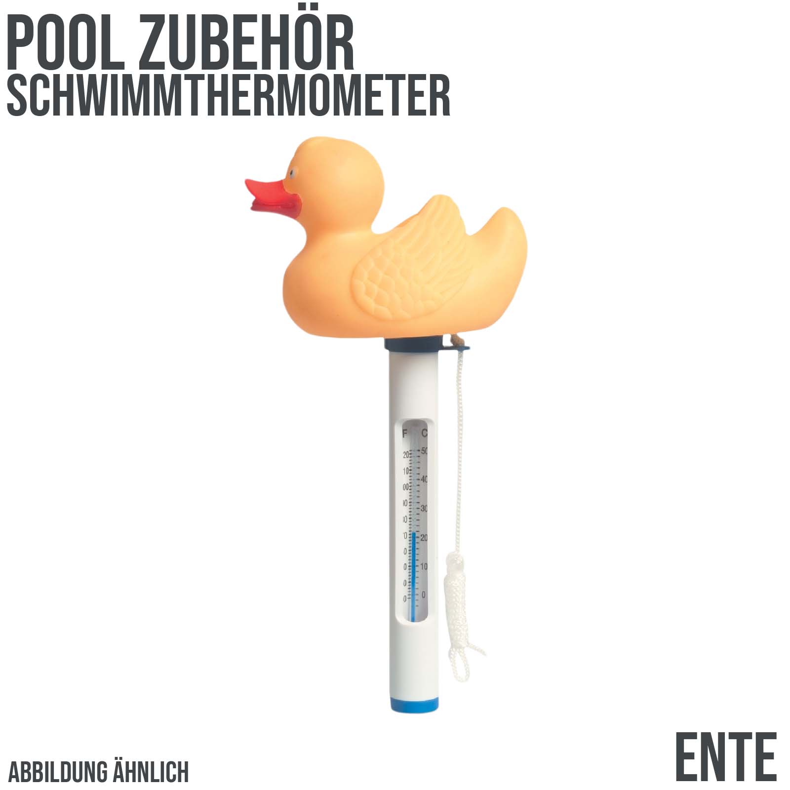 Pool Schwimm Thermometer "Ente"