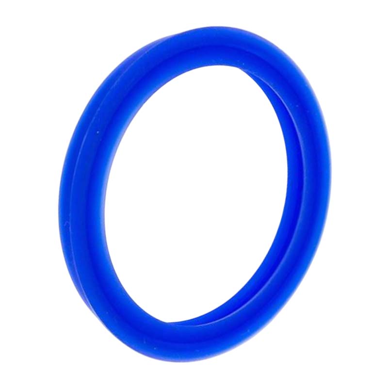 Dichtung STORZ  D DN 25 KA 31 Kupplung (Saug/Druck) Silikon Trinkwasser KTW-A blau