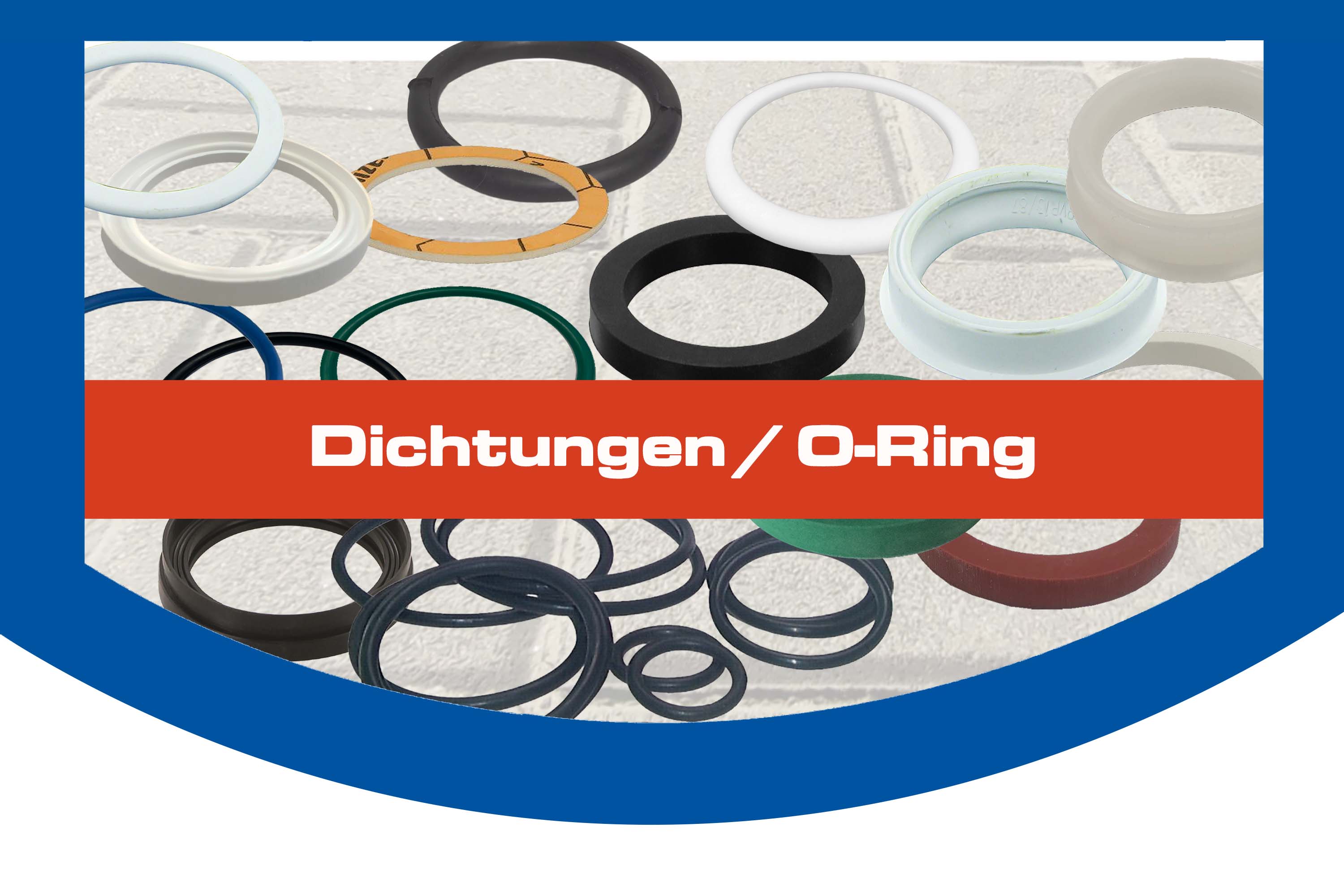 Dichtungen / O-Ringe
