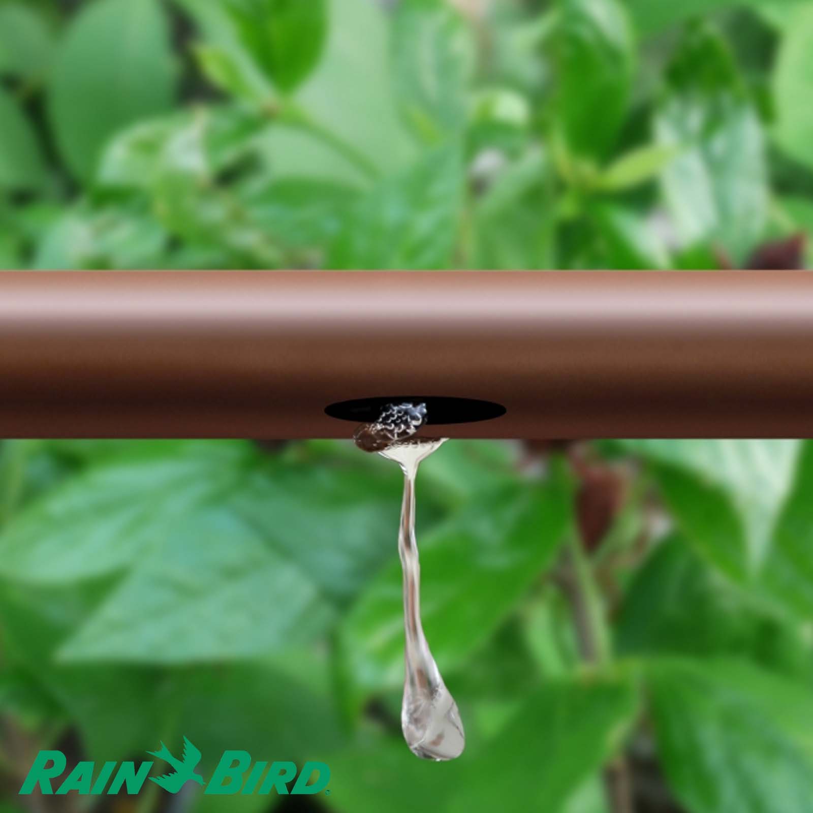 Rain Bird Tropfschlauch Oberirdisch PE 16 mm x 1,2 mm 2.3ltr/h 33 cm braun Typ PC inline XFD - 50 m