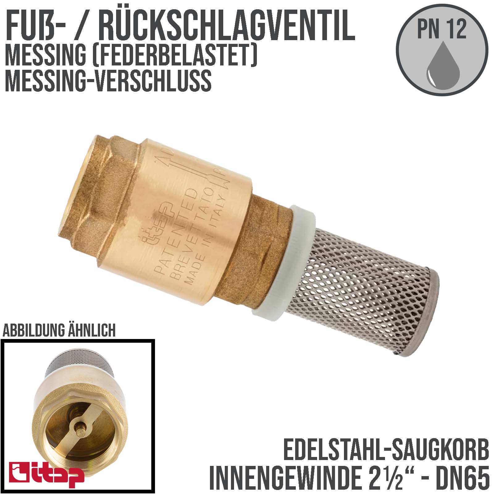2 1/2" Zoll Itap Fuß Rückschlag Absperr Ventil Messing Edelstahl Saugkorb Messing Verschluss Typ 105 - PN 12 bar