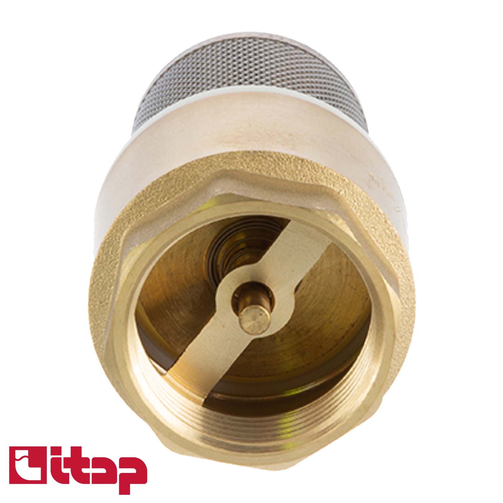 2" Zoll Itap Fuß Rückschlag Absperr Ventil Messing Edelstahl Saugkorb Messing Verschluss Typ 105 - PN 18 bar