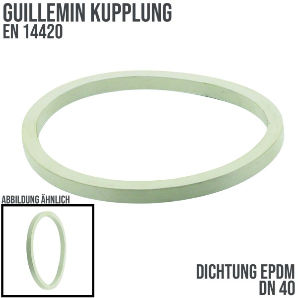 DN 40 Guillemin Kupplung Ersatz Dichtung EPDM weiß