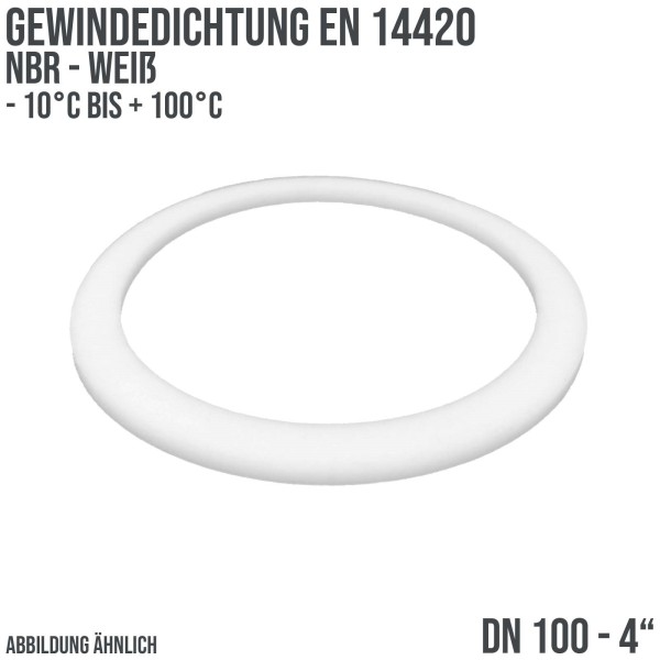 4" Zoll Gewindedichtung EN 14420 NBR weiß DN 100